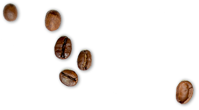 Café Noventa Grados