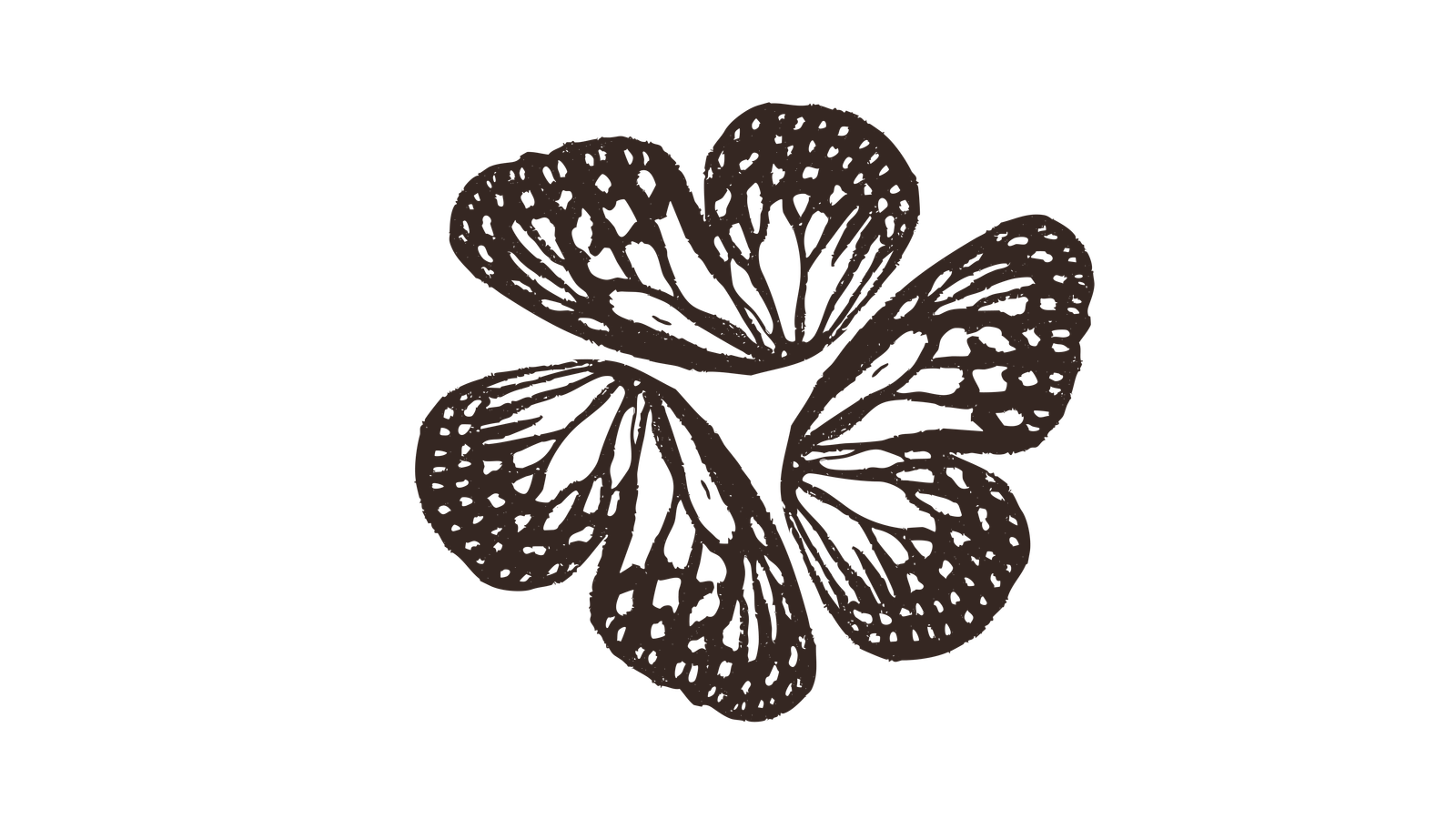 Café Noventa Grados